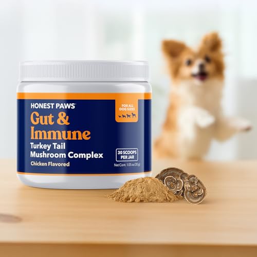 Honest Paws Turkey Tail Mushroom for Dogs - Digestive and Immune Support - Shiitake, Reishi, Maitake Mushroom Supplement Powder for Dogs - No Filler, No Additives - (30 Scoops) (Pack of 2) 30 Scoops (Pack of 2)