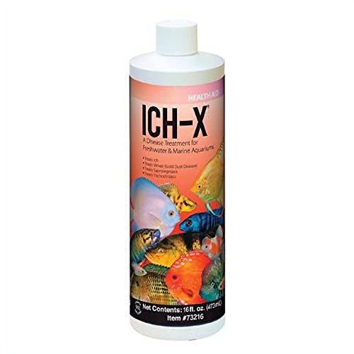 Hikari USA Inc. Ich x - Ich Treatment with More 16oz 16 oz - PawsPlanet Australia