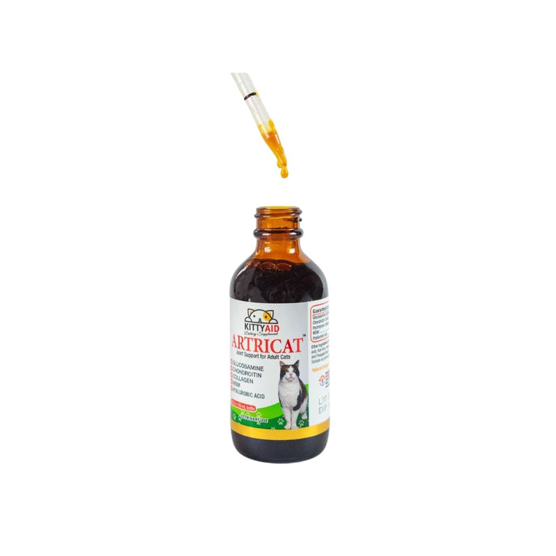 Artricat Dietary Supplement by Interfarma Corp | Cartilage Protection, Reduce Inflammation, & Joint Support for Cats | with Glucosamine, Collagen, & Hyaluronic Acid | Pineapple Flavor, Drops. SINGLE