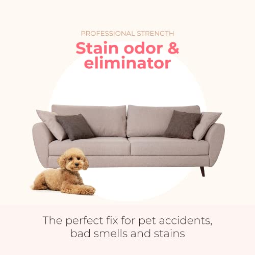 Paw Fume Gentle Ear Cleaner for Dogs + Stain & Odor Eliminator (Pack of 2)