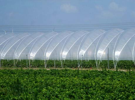 LDPE-5A Greenhouse Repair Tape, Clear – Low Density polyethylene Film (LDPE) Ideal for Sealing & Seaming (Black, 6" X108' Pack of 1 ROLL)