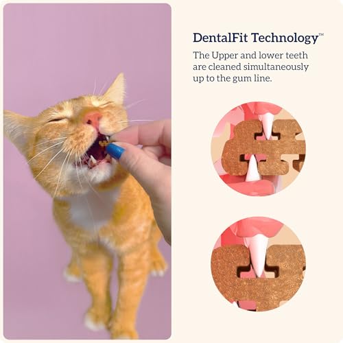 Groovies Dog & Cat Dental Bundle – Flexible Dog Chews (Small 5–15 lb, 22 Ct) + Cat Daily Dental Treats Salmon Flavor (7.05oz, 460 Treats), DentalFit Technology for Tartar Control & Fresh Breath, USA M