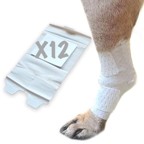 PawFlex Joint and Large Area Wound Bandages for Dogs Cats & Other Pets. Great for Leg Joint sprains and Tail Injuries! Non Adhesive Breathable Non-Slip Disposable Washable Value Pack (2XS/XS 12pk) White 2XS/XS 12pk