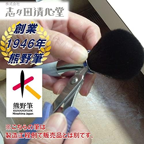 Shishida Seishindo Kumano Brush, Auto Lip Brush, 100% Natural Horse Hair, Kumano Certified, 661 - NewNest Australia