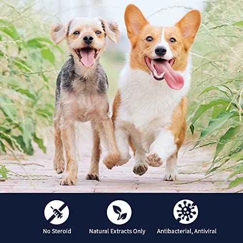 HealiMax, Wound Care Gel for Dogs and Cats, 0.35oz. Safe and Easy Care with 100% Natural Ingredients. Burn, Ulcer and Surgical Wound. - PawsPlanet Australia
