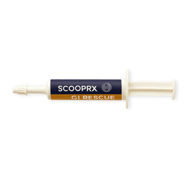 Horse Digestive Support System | Emergency & Daily GI Balance | Probiotic Prebiotic Formula | for Colic Gas Diarrhea & Stress | No Fillers No Sweeteners | ScoopRx USA Made |Paste 15ml (Pack of 1) Pack of 1 GI Rescue Paste