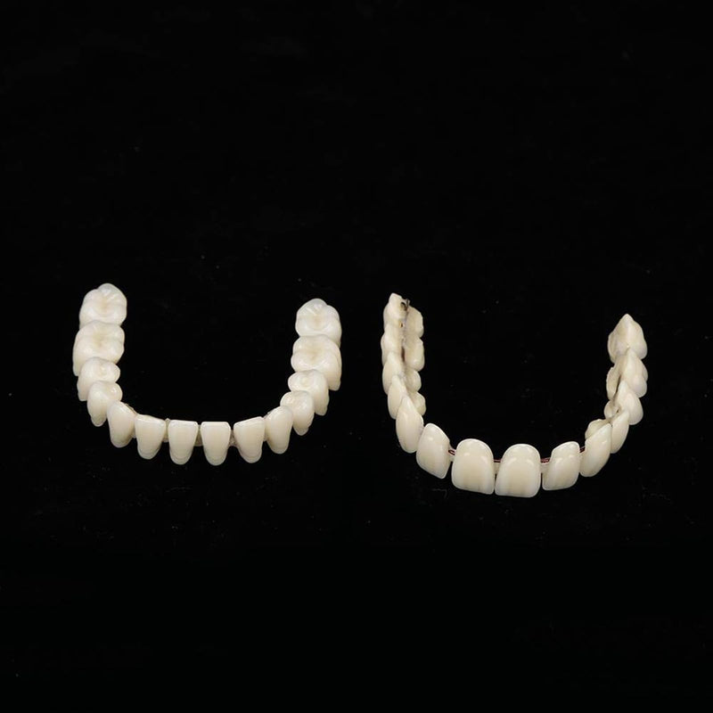 ZJchao 280pcs/10 Set Resin Denture False Teeth, Dental Teeth Teaching Model, Resin Denture for Patients with Oral Cavity Loss,Dental Supply Accessory