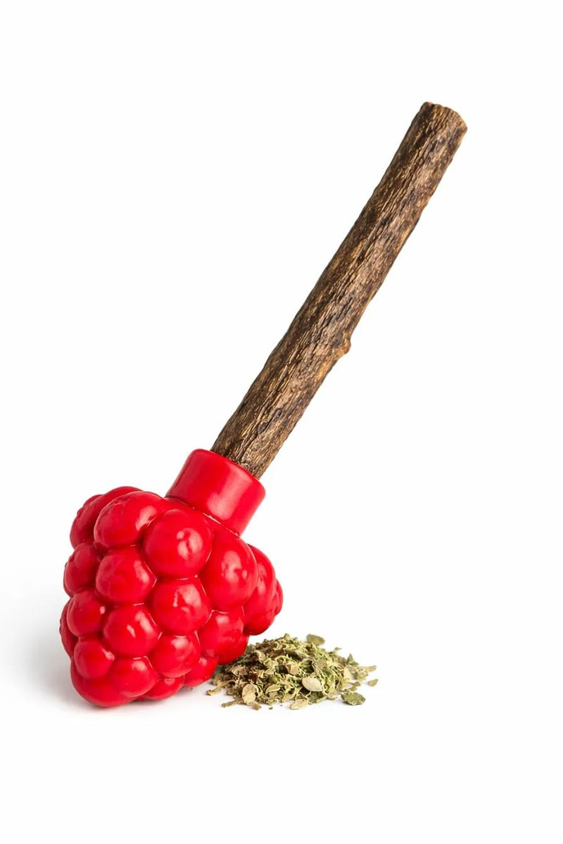 Cat Dental Teether Toy with Silvervine Chew Stick - Rubber Berry Holder with Catnip Oil Infused Matatabi Stick for Teeth Cleaning - Kitten Teething Toy for Indoor Cats (1 Teether + 1 Stick) 1 Rubber Berry Teether, 1 Silvervine Chew Stick