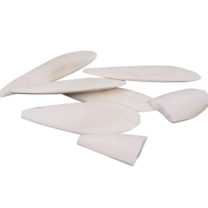 6 Pcs Natural Cuttlebone Parakeets Pure Cuttlebone Calcium Stone for Tortoise Parakeets Canaries Cockatiels Turtles Cockatiel 9.5-10.4cm/3.7-4 inch - PawsPlanet Australia