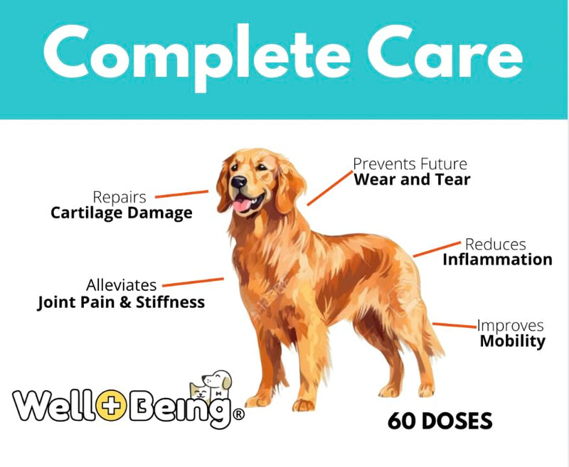 Well-Being for Dogs Joint Health Supplement, Contains Glucosamine, Plus Chondroitin, Collagen and MSM, Professional Grade Wellness Supports Healthy Joints, For All Breeds and Sizes, 60 Doses