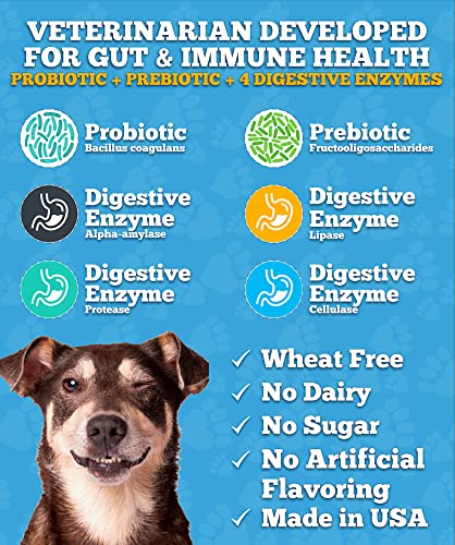 Well Loved Probiotics for Dogs & Well Loved Dog Allergy Chews Bundle, Vet Developed, Made in USA