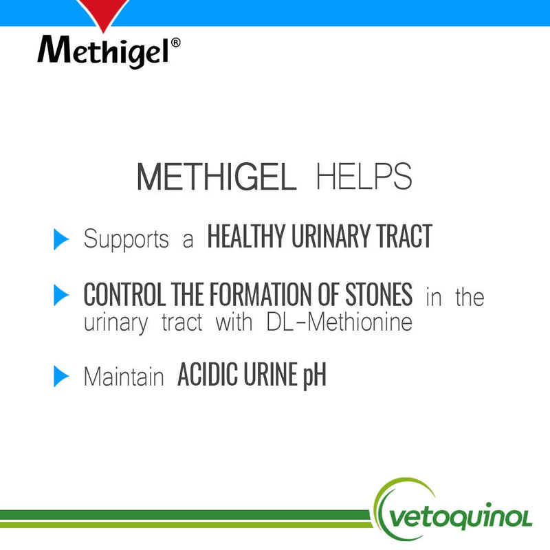 Vetoquinol Methigel Urinary Acidifier to Promote Urinary and Bladder Health for Dogs & Cats 4.25 oz - PawsPlanet Australia