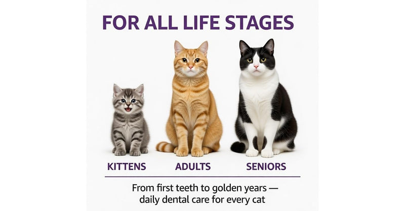 Cat Dental Treats with Catnip - Crunchy Teeth Cleaning Treats for Cats with Breath Freshener - Grain Free Dental Cat Treats for Indoor Cats Plaque Tartar Control - Made in USA - 3oz Resealable Bag 3 Ounce (Pack of 1)