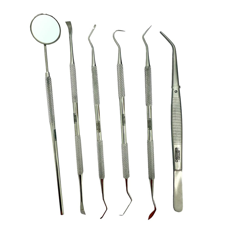 Jeffers Pet 6 Piece Stainless Steel Dental Tool Kit for Dogs & Cats – Tooth Scaler, Scraper, Probe Pick, Mirror, Tweezers & Stain Remover – Pet Grooming Tools, Teeth Cleaning Set, Hygiene Accessories 6 Piece Pack