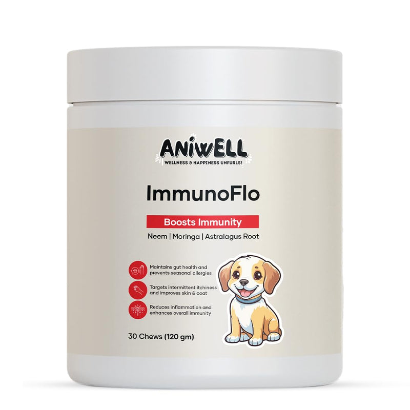 Dog Allergy & Itch Relief Combo | ImmunoFlo Immune Support Chews + Itch Relief Bites with Salmon Flavor | Daily Skin Comfort & Immunity Support