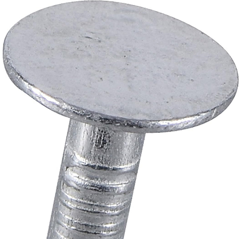 Electro-Galvanized Roofing Nails (3") - 5lb Box