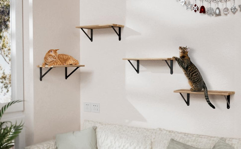 4x3 Shelf Brackets 6-Pack, Shelf Support Shelf Holder Steel Wall Mount Heavy Duty Small L Shape Triangle 90 Degree Metal Black with Screws Anchors Soporte de Estante 4"x3" (6 PACK)