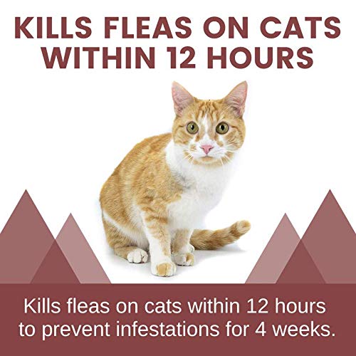 [Australia] - Adventure Plus Triple Flea Protection for Cats, 5-9 lbs, Cat Flea Treatment 4 Dose 