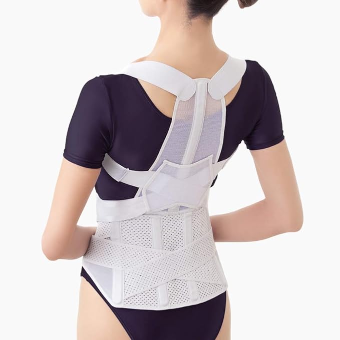 Alphax Posture Supporter, Made in Japan, Posture Belt Corrects From Doctor's Waist, L-LL - NewNest Australia