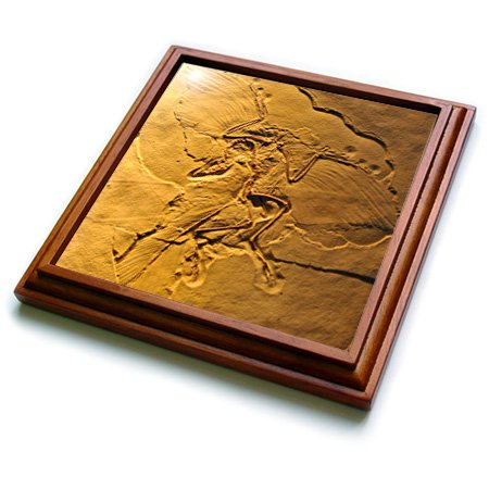 3dRose Archaeopteryx from the Jurassic Germany-Trivet with Ceramic Tile, 8" x 8", Brown