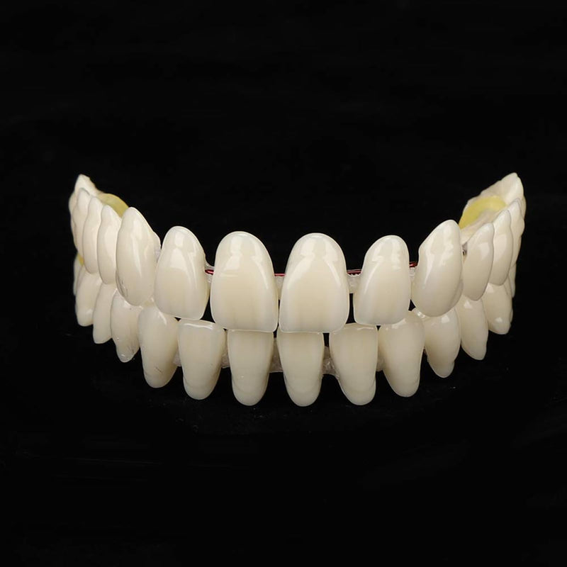 ZJchao 280pcs/10 Set Resin Denture False Teeth, Dental Teeth Teaching Model, Resin Denture for Patients with Oral Cavity Loss,Dental Supply Accessory