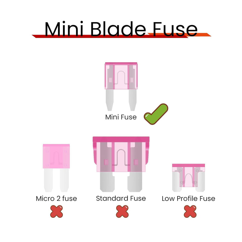 100 Pack Auto Fuses 3 AMP APM/ATM 32V Mini Blade Style Fuses 3A Short Circuit Protection Car Fuse (3 AMP)