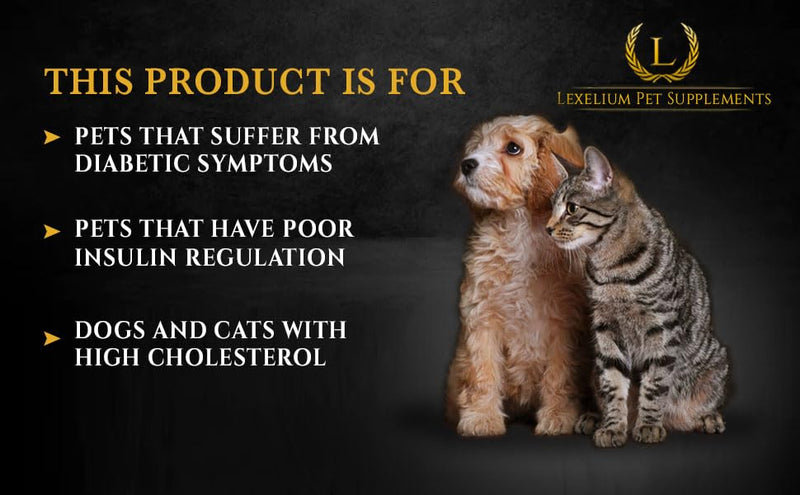 Blood Sugar Management for Diabetic Dogs and Cats- Vet-Formulated Powder Formula -Supports & Regulates Healthy Blood Sugar Levels- Supplements Insulin Sensititivity & Glucose- Made in The USA -200g - PawsPlanet Australia