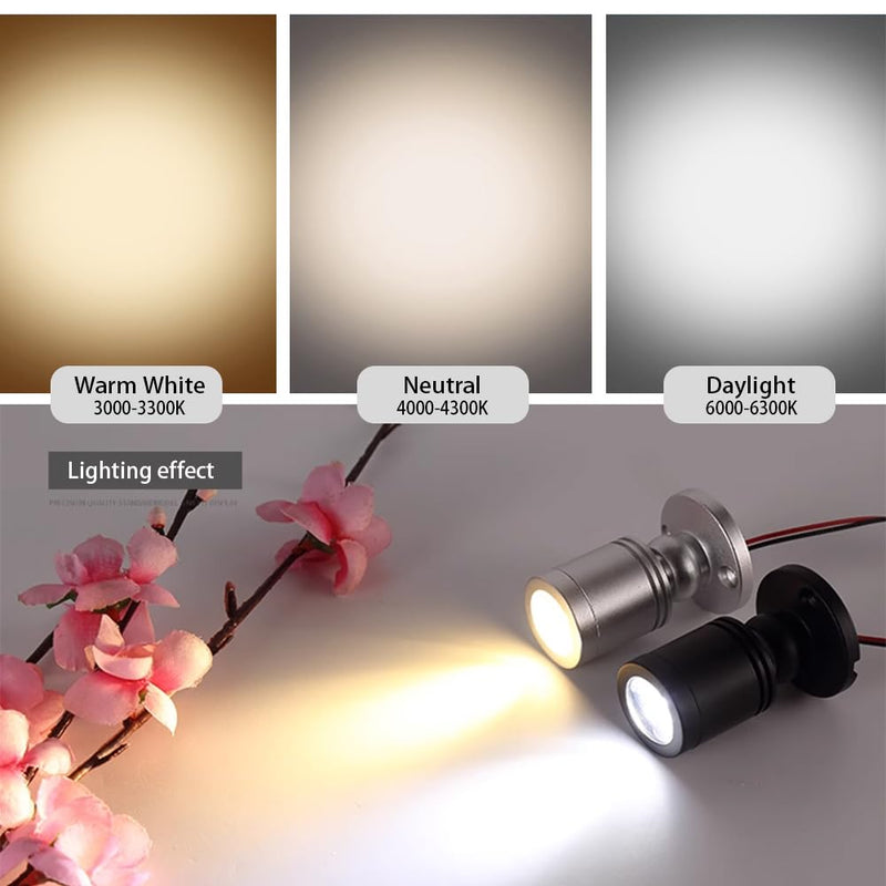 Dimmable 12V LED Mini Spotlights for Display - 1.5W Daylight 6500K, Tiny Spotlights for Displays with Dimmer, Black - Pack of 6 Daylight - 6 Pack