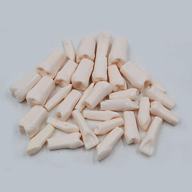 32pcs Removable Teeth Piece for Typodont Teeth Model Compatible with Kilgore Nissin for Teaching, Study - NewNest Australia