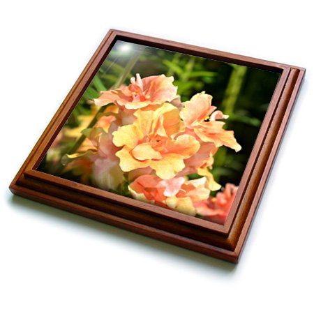 3dRose Drumstick Alliums Are Very Colored Spring flowers from The Garden Trivet with Ceramic Tile, 8 x 8", Natural