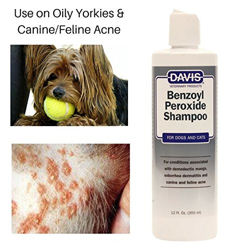 Davis Benzoyl Peroxide Medicated Dog & Cat Shampoo, 12 oz. – Dermatitis and Demodectic Mange - PawsPlanet Australia