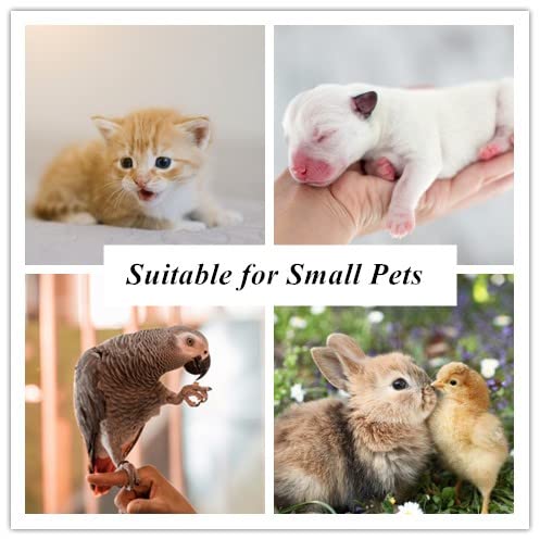 Digital Pet Scale, LCD Animal Scale, 0-22Pound High Accuracy Electronic Weighing Scale, Multifunctional Electronic Weighing Scale for Small Animals Hamster Birds Kittens (No Battery Included) - PawsPlanet Australia