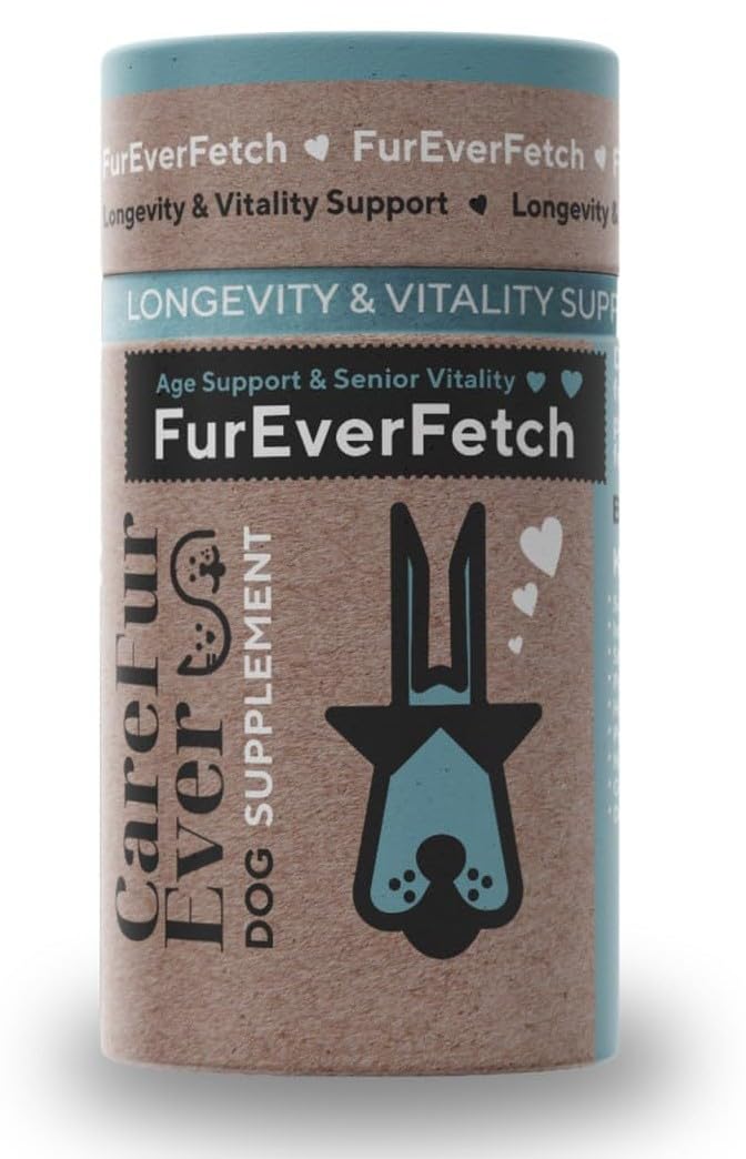 Supplement Treats for Senior Dogs ~ Cognitive Support | Premium Canine Longevity Stack | Lion's Mane, Turkey Tail & Phosphatidylserine | Biohacking Brain Health Formula | Beef Flavor