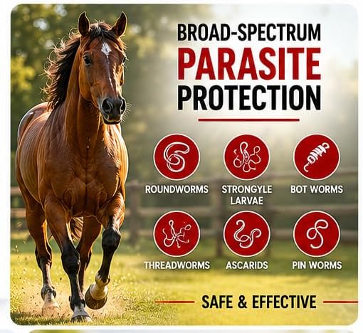 YAGU Paste for Horse Use Only 1.87% 6.08g, 3 Pack