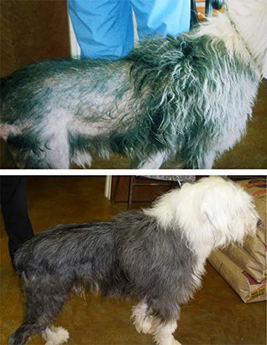 Davis TheraCoat for Pets - NewNest Australia