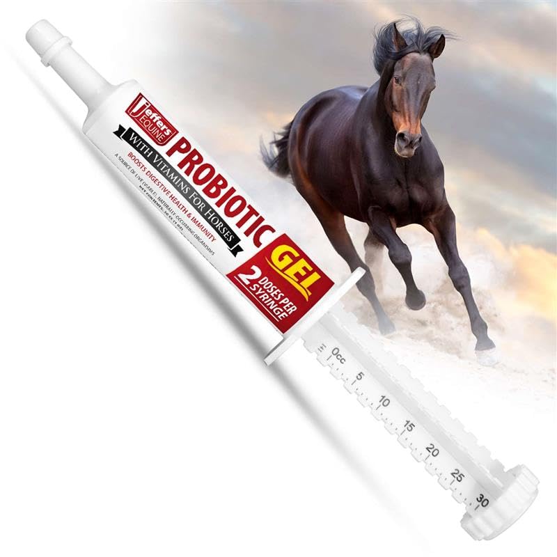 Jeffers Equine Probiotic Oral Gel for Horses, 30 cc Syringe – Supports Healthy Gut, Natural Appetite & Digestion, Horse Supplement w/Prebiotics, Live Microbials (30M CFU), Vitamins A B E, USA Made 1 Pack