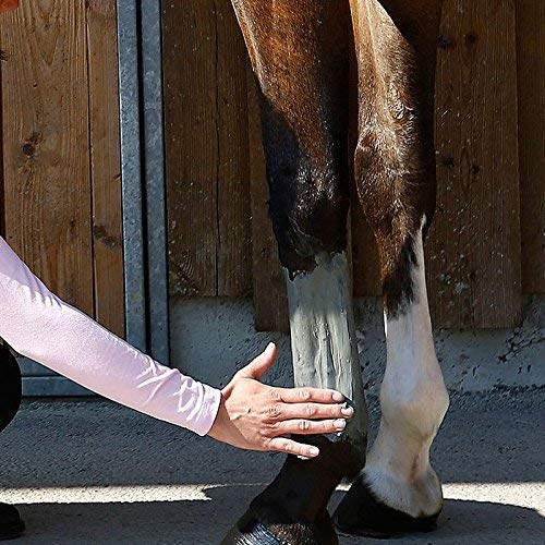 Poudre Armoricaine - The original French Horse Poultice - Cuticura Talcum Powder Clay & Minerals (Algae) - Horse Bucket - Support your Horses Health & Mobility - Equine products - 1500g ; 52.79fl oz - PawsPlanet Australia
