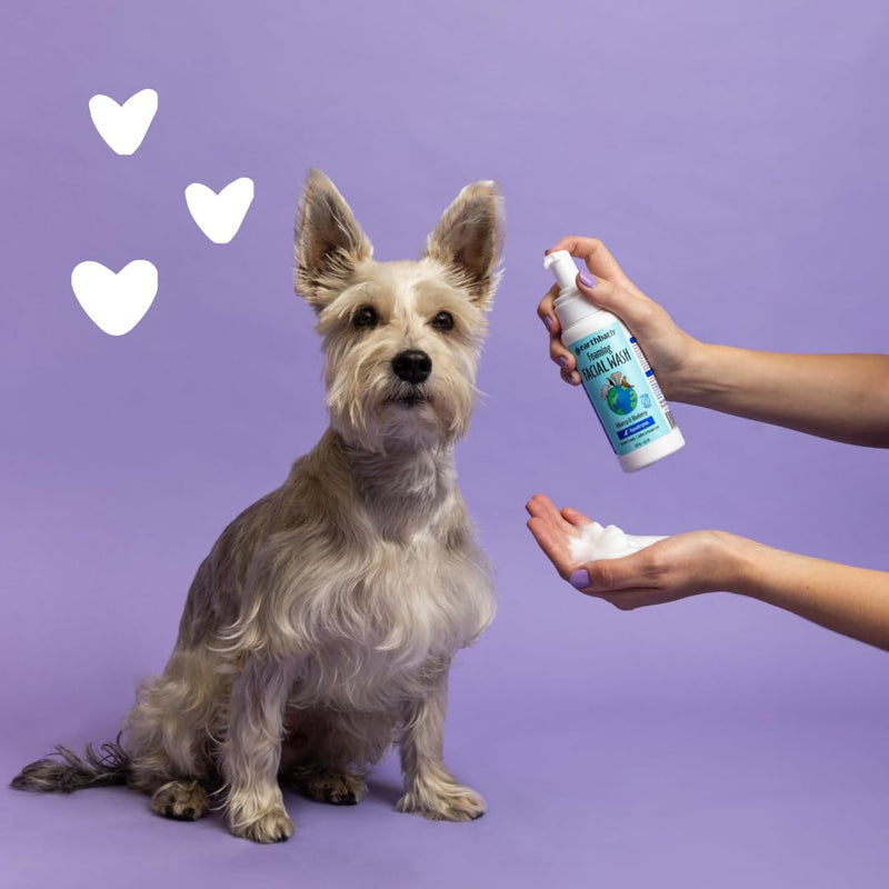 earthbath, Foaming Facial Wash - Dog Face Wash, Hypoallergenic, Tear Free Formula, Sulfate & Paraben Free, Cruelty-Free, Vegan, Gluten-Free, Bilberry & Blueberry Facial for Dogs & Cats - 8 Oz - PawsPlanet Australia