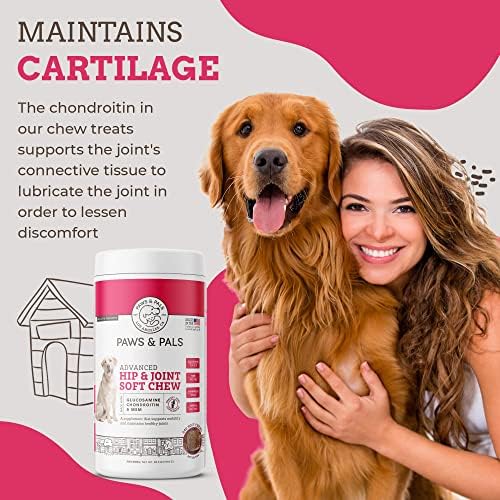 Paws & Pals Glucosamine Chondroitin MSM for dogs 240 Count, Hip and Joint Mobility Soft Chews Supplement, Pain & Inflammation Relief for all breeds - Maximum Strength, Treats Hip Dysplasia & Arthritis Chicken