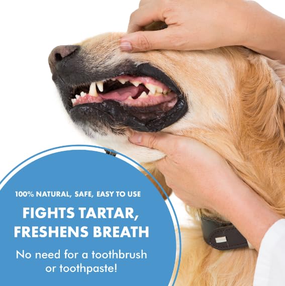 PetSilver Teeth & Gum Spray, Patented Chelated Silver, Natural Dog Breath Freshener, Cat and Dog Dental Cleaning without Brushing, Targets Tartar and Plaque, Dog Dental Spray, Made in USA, 4 oz. 1 Count (Pack of 1) - PawsPlanet Australia