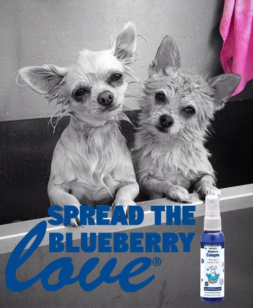 South Bark's Original Blueberry Dog Cologne 8.5 oz. | Dog Perfume Long Lasting | Deodorizing Spray | Same Scent As The Famous Blueberry Facial® Original Blueberry - sugary goodness! 8.5 Fl Oz (Pack of 1) - PawsPlanet Australia