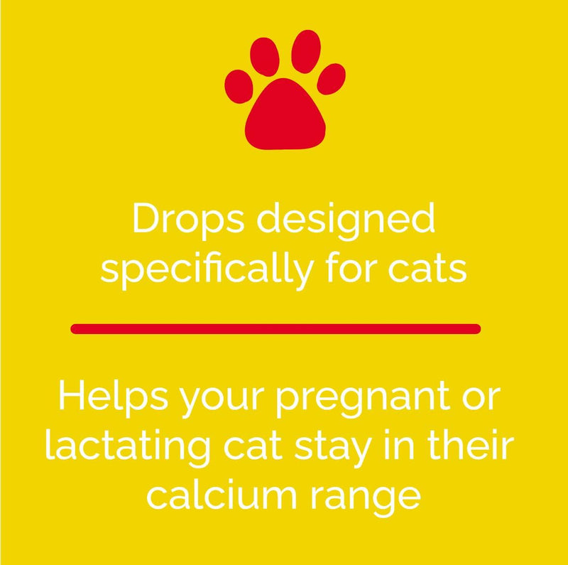 Calcicat D3 Dietary Supplement by Interfarma Corp | Healthy Bones in Cats, & Joint Support Supplement for Cats | with Calcio, Vitamin D3, & Magnesium sulfate | Orange Flavor, Pediatric Drop. Single
