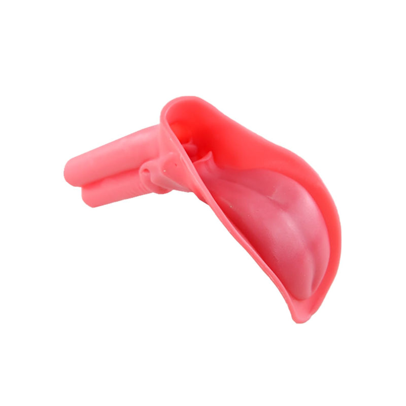 Silicone Endotracheal Intubation Human Model, Intubation Manikin Simulator with endotracheal Tube, Intubation Model for Science Education/Practice/Study
