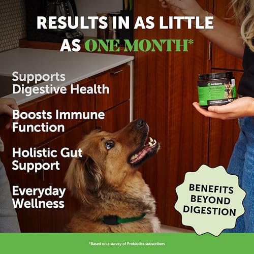Pet Honesty Dog Wellness Virtual Bundle – Probiotics Supplement (Pumpkin, 90 Ct) + Brush Buddies Dental Sticks for Medium Dogs (15 Ct) – Digestive & Dental Support
