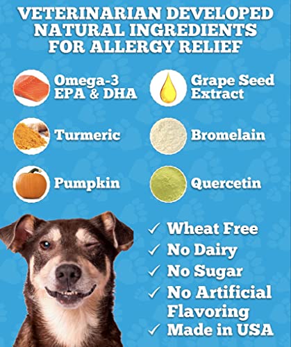 Well Loved Probiotics for Dogs & Well Loved Dog Allergy Chews Bundle, Vet Developed, Made in USA