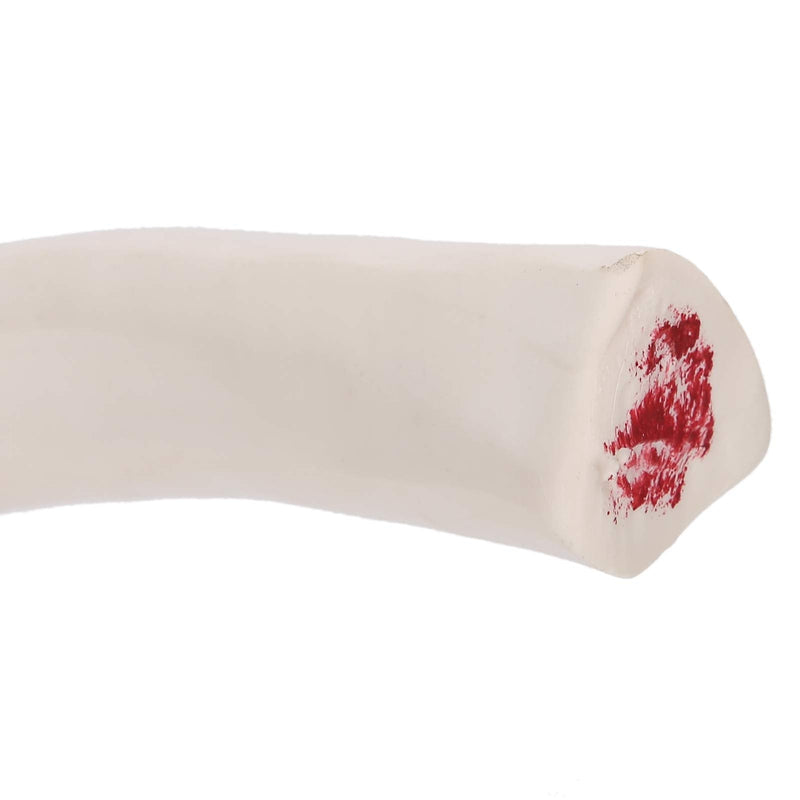 Elbow Joint Model, Elbow Joint Model Life Size Accurate Elbow Skeleton Model Boned Shoulder Joint Model for Study Display Teaching