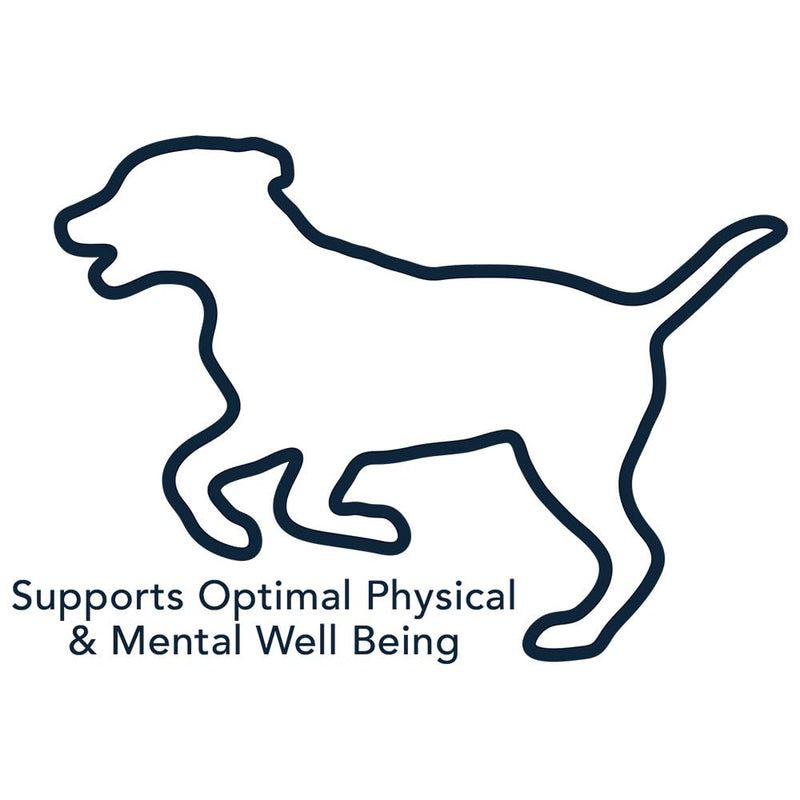 Vet's Best Multi-Vitamin Soft Chew Dog Supplements | Vitamins for Dogs | Supports Dogs Physical and Mental Health | 30 Day Supply - PawsPlanet Australia