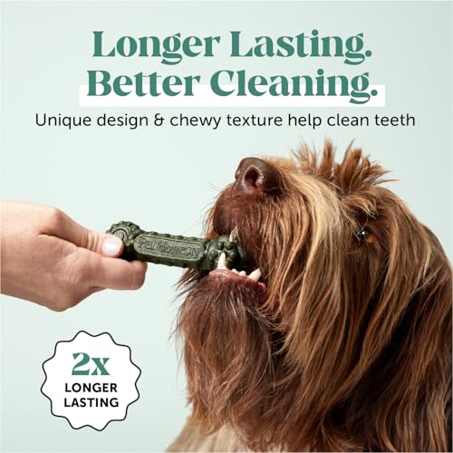Pet Honesty Dog Dental Care Virtual Bundle – Breath Freshener Dental Powder (30 Servings) + Brush Buddies Dental Sticks for Medium Dogs (15 Ct) – Teeth Cleaning, Plaque & Breath Support