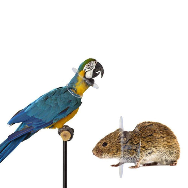POPETPOP Bird Collar Pet Parrot - Collar, Grab Feather Lick Wound Healing Safety Practical Neck Cover for Macaw African Budgies Parakeet Cockatiel Small - PawsPlanet Australia