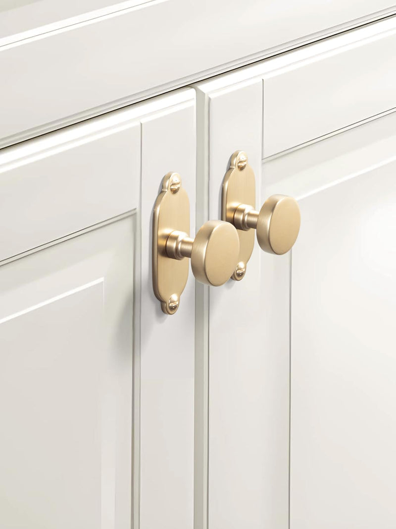 Goo-Ki 6 Pack Cabinet Knobs Champagne Bronze Drawer Knobs with Plate Zinc Alloy Kitchen Hardware - Single Screw Cabinet Pulls Solid Dresser Handles with Spacer
